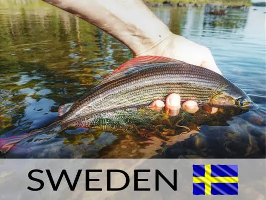 Gabriele Cabizzosu - Pesca in Svezia - tra temoli e natura