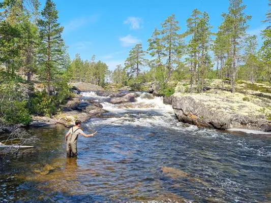 Pesca a tenkara - semplicemente spiegata - Tenkara pesca: guida completa per iniziare