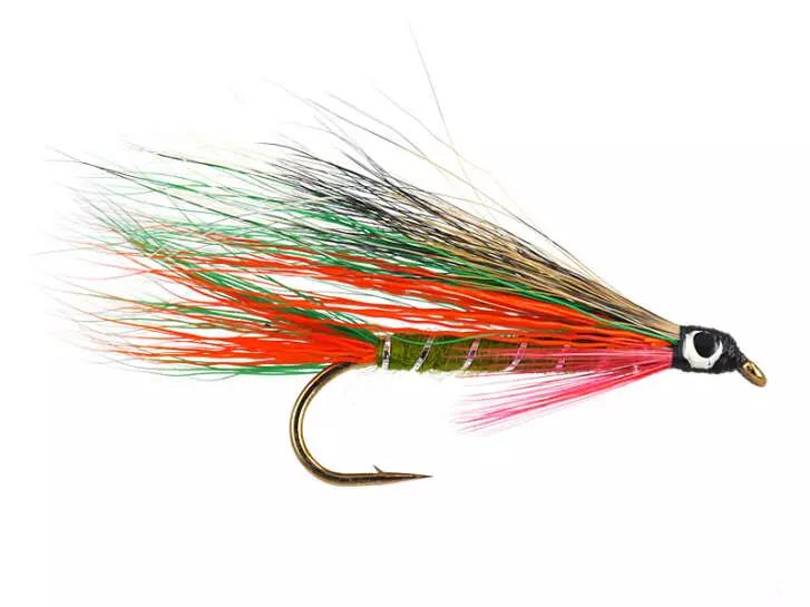 Little Brook Trout