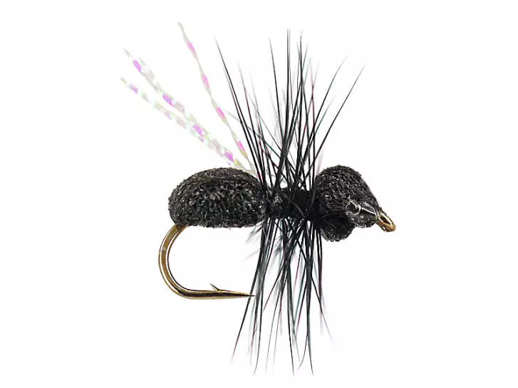 Magic Wing Flying Ant