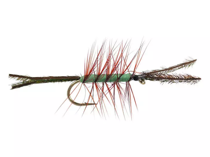 Foam Cata Pillar Green