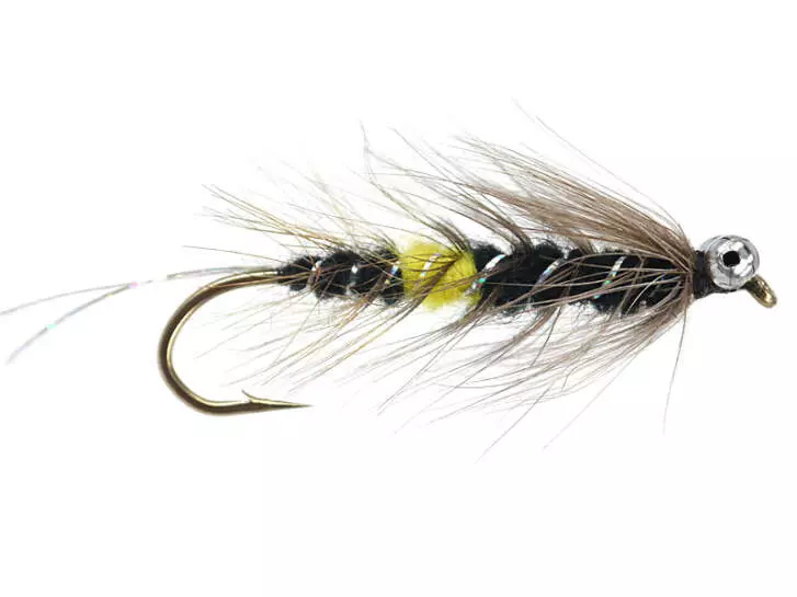 Danish Seducer Black Yellow Spot