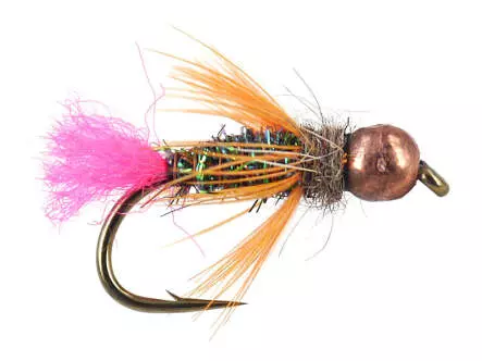 TG Trout Scare