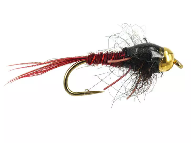 TG Toms Reddish Epoxy Back