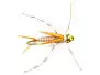 TG Poor Copper Nymph