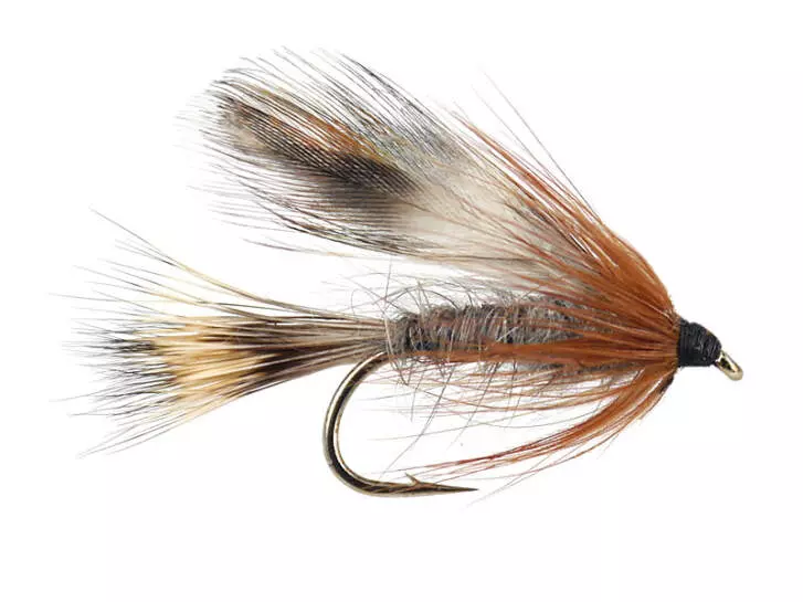 Downwing Adams