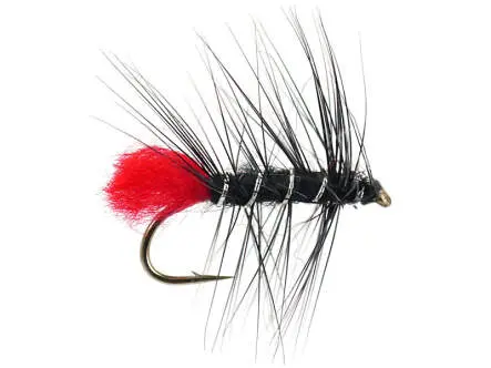 Black Zulu