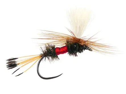 Royal Coachman Parachute BL 12