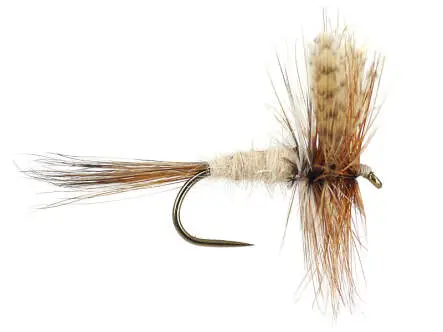March Brown BL 10