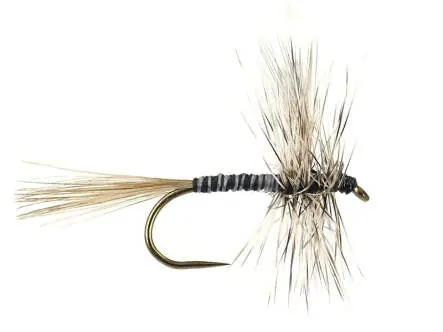 Mosquito BL 16