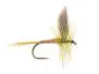 B.W. Olive BL 16