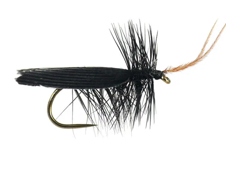 Black Horned Roofing BL 12