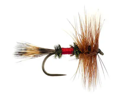 Royal Wulff BL 14