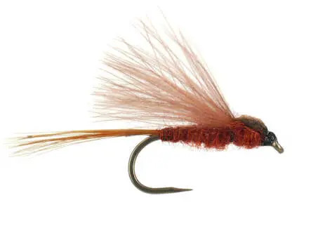 CDC Brown BL 16