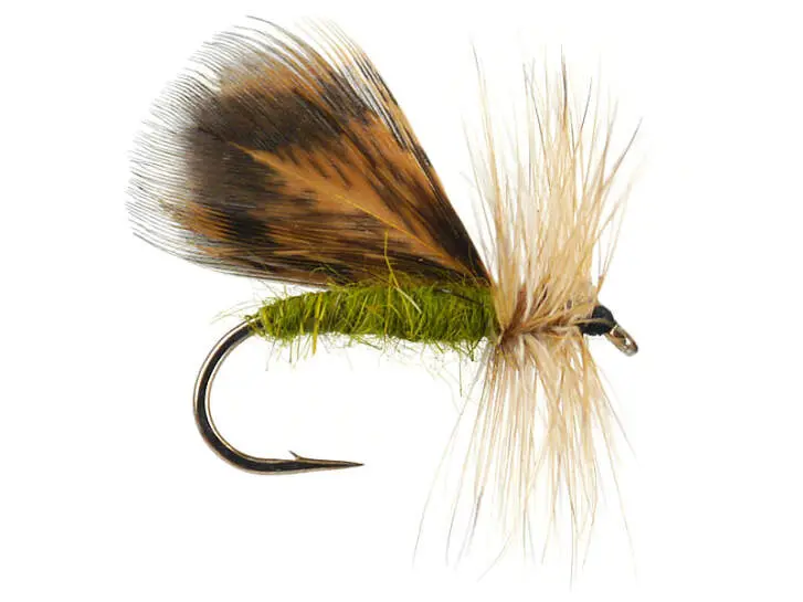 Spent Partridge Caddis 10