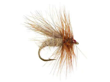 Cinnamon Caddis 10