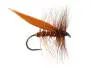 Brown Sedge 10