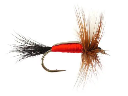 Royal Humpy 10
