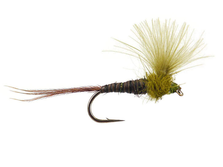 CDC Quill Olive 14