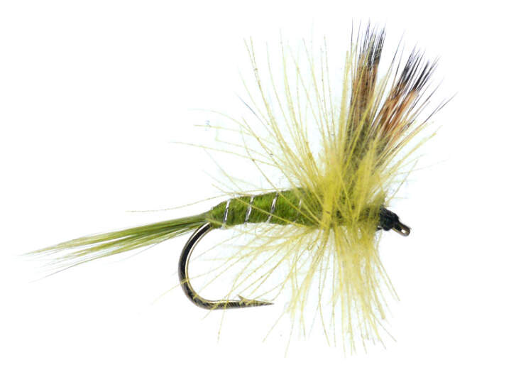 CDC Dry Pale Olive 16