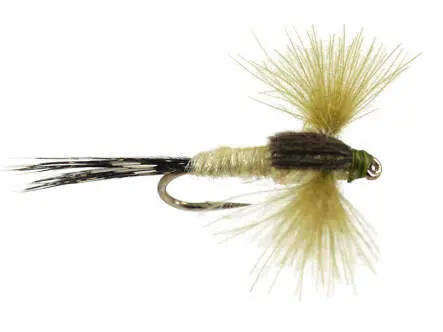 CDC Spent Pale Olive 14