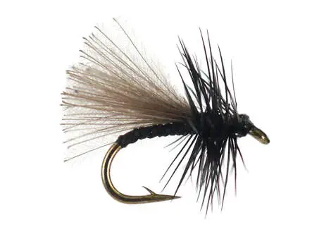 CDC Hackled Black 16
