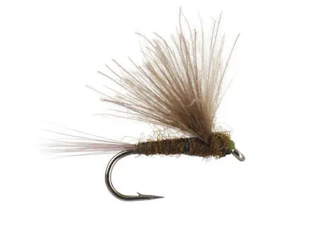 CDC Dark Olive 14