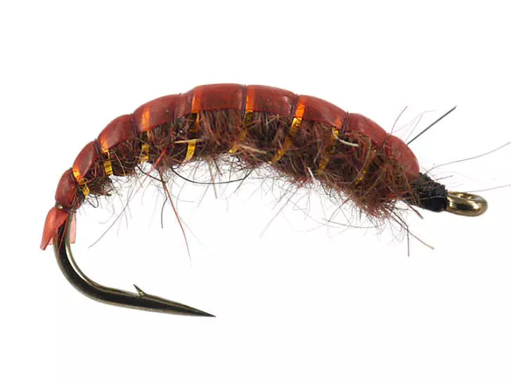 Dark Brown Ribbed Dream 12