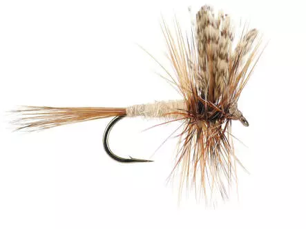 March Brown 12