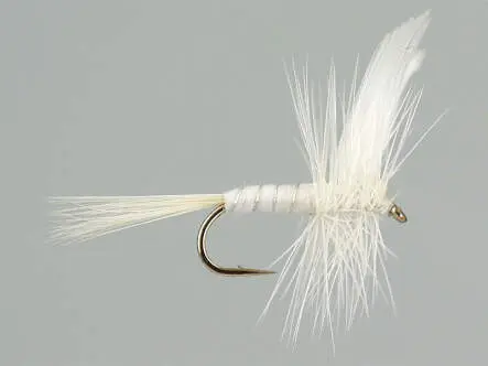 White Miller 10