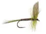 B.W. Olive 14