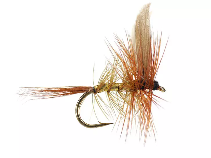 Wickhams Fancy 14