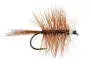 Brown Bivisible 10