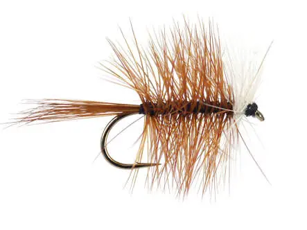 Brown Bivisible 14