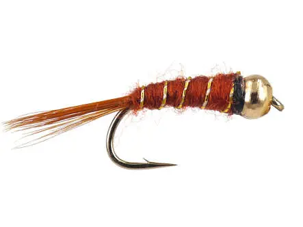 Brown Basic BH Nmyph 12