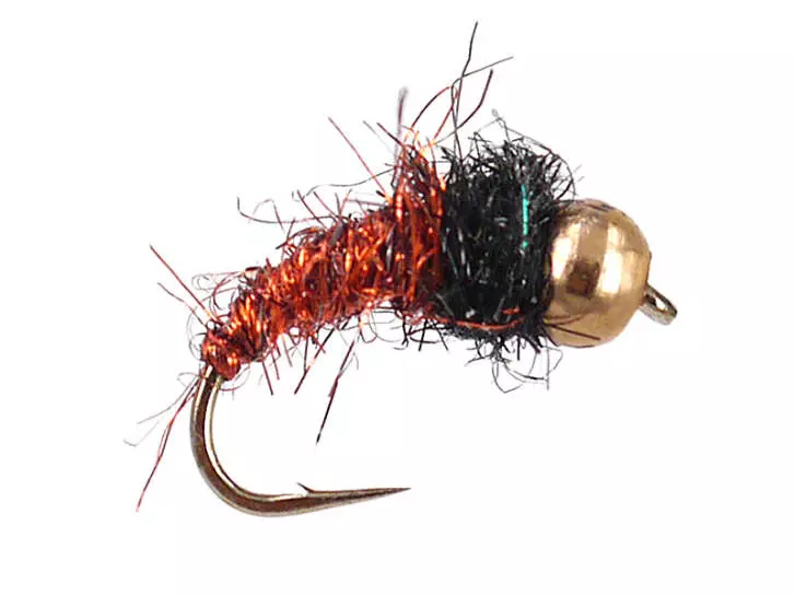 Bright Copper Nymph 12