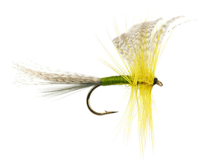 Golden Olive Mayfly Dun 10