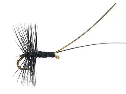 Midge Pupa Black 20
