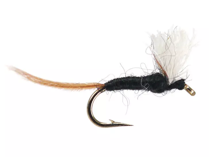 Tricorythodes Male Spinner 16