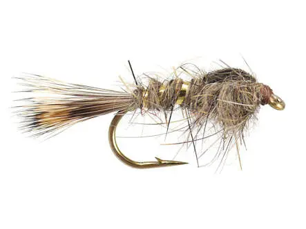 Gold Ribbed Hares Ear 14