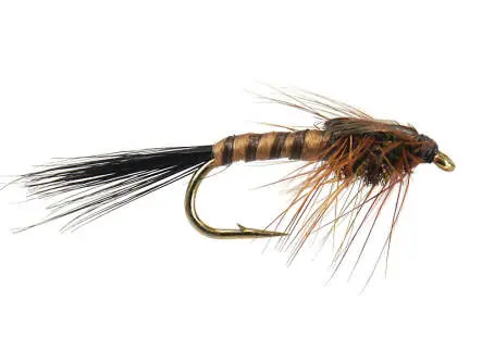 March Brown 10