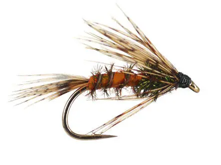 Classic Peacock Nymph 14