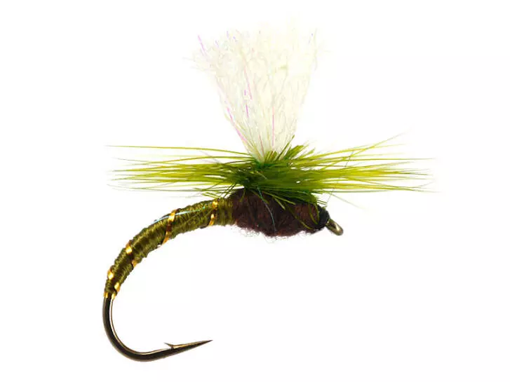 Klinkhammer Olive 12