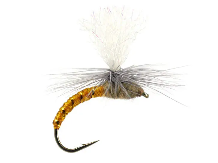 Klinkhamer Dark Yellow 10