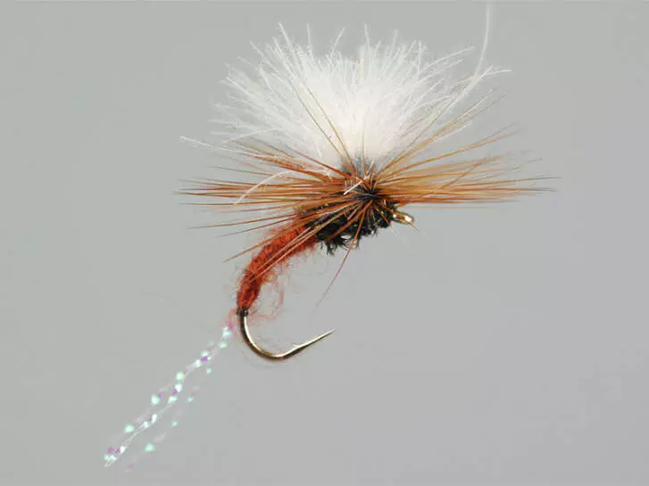 CDC Flash Klinkhammers Brown 16