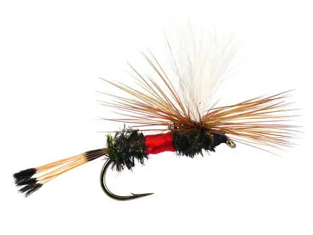 Royal Coachman Parachute 12