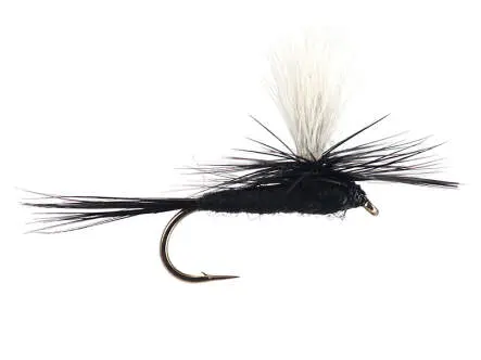 Parachute Black Gnat 12