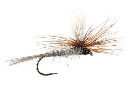 Adams Parachute 14