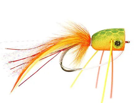Orange Tiger Superb Popper 4