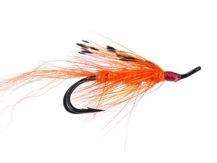 Gp Orange dou 4